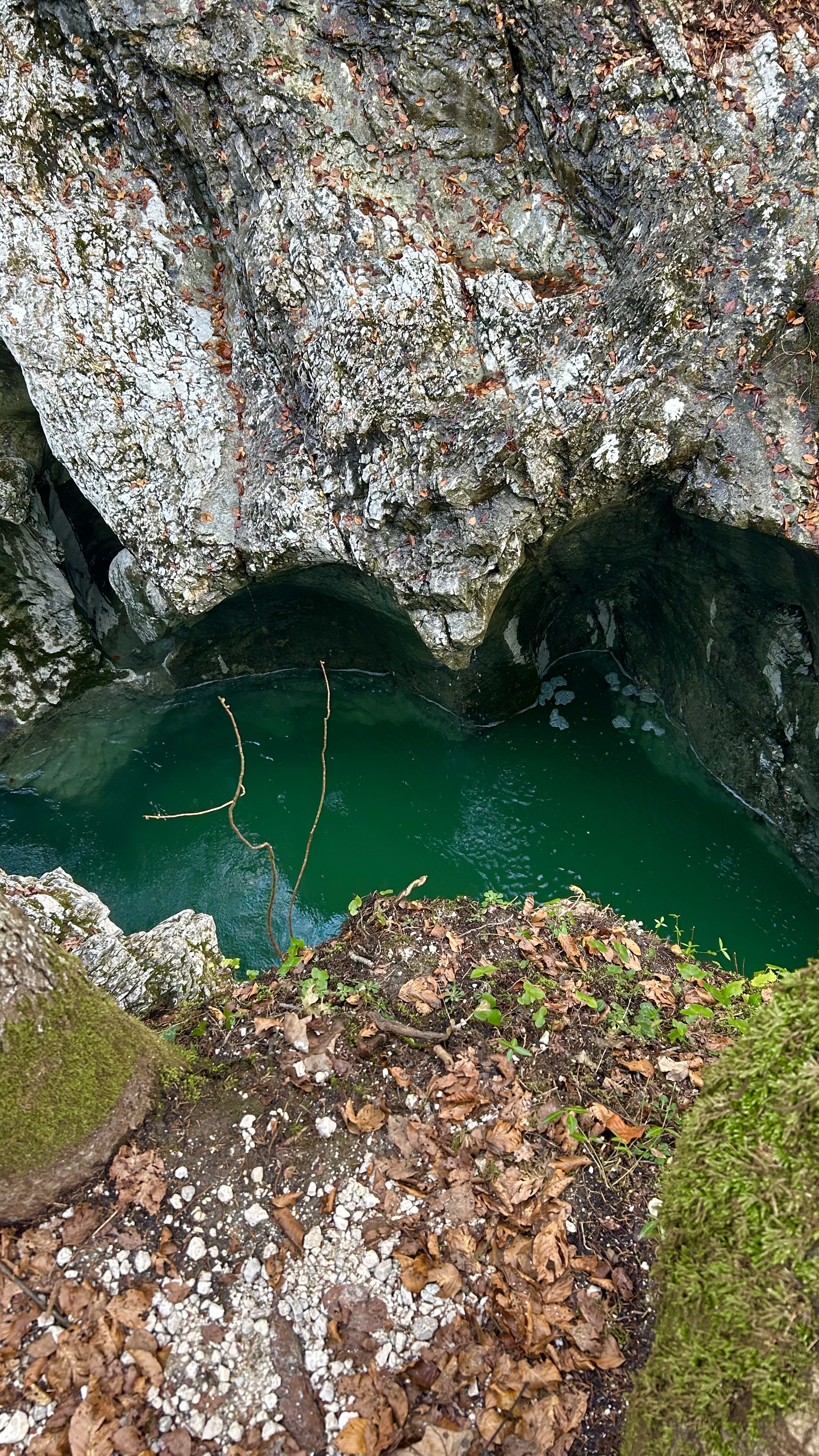 Río Sava Bohinjka Eslovenia, trekking, color esmeralda