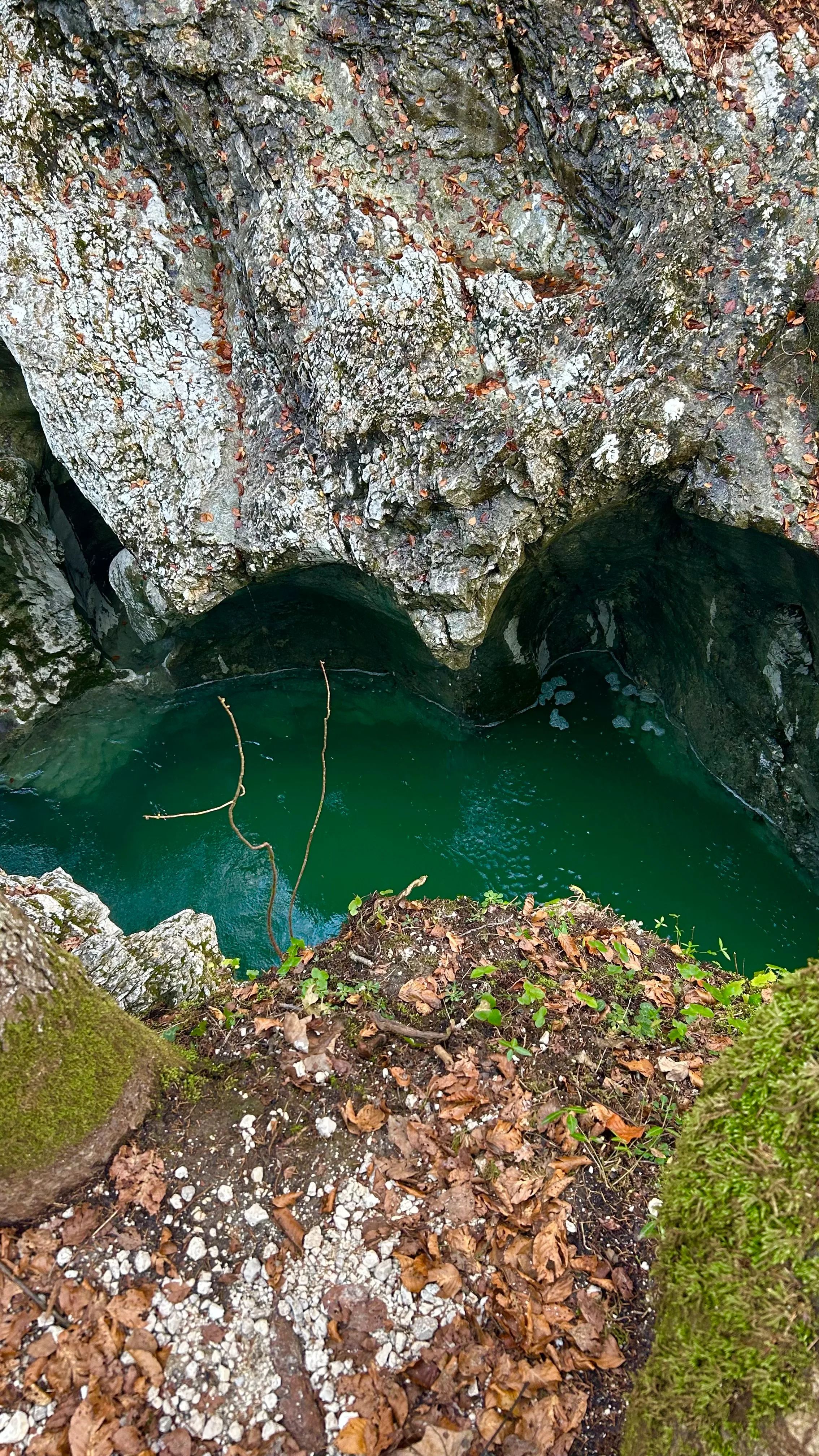 Río Sava Bohinjka Eslovenia, trekking, color esmeralda