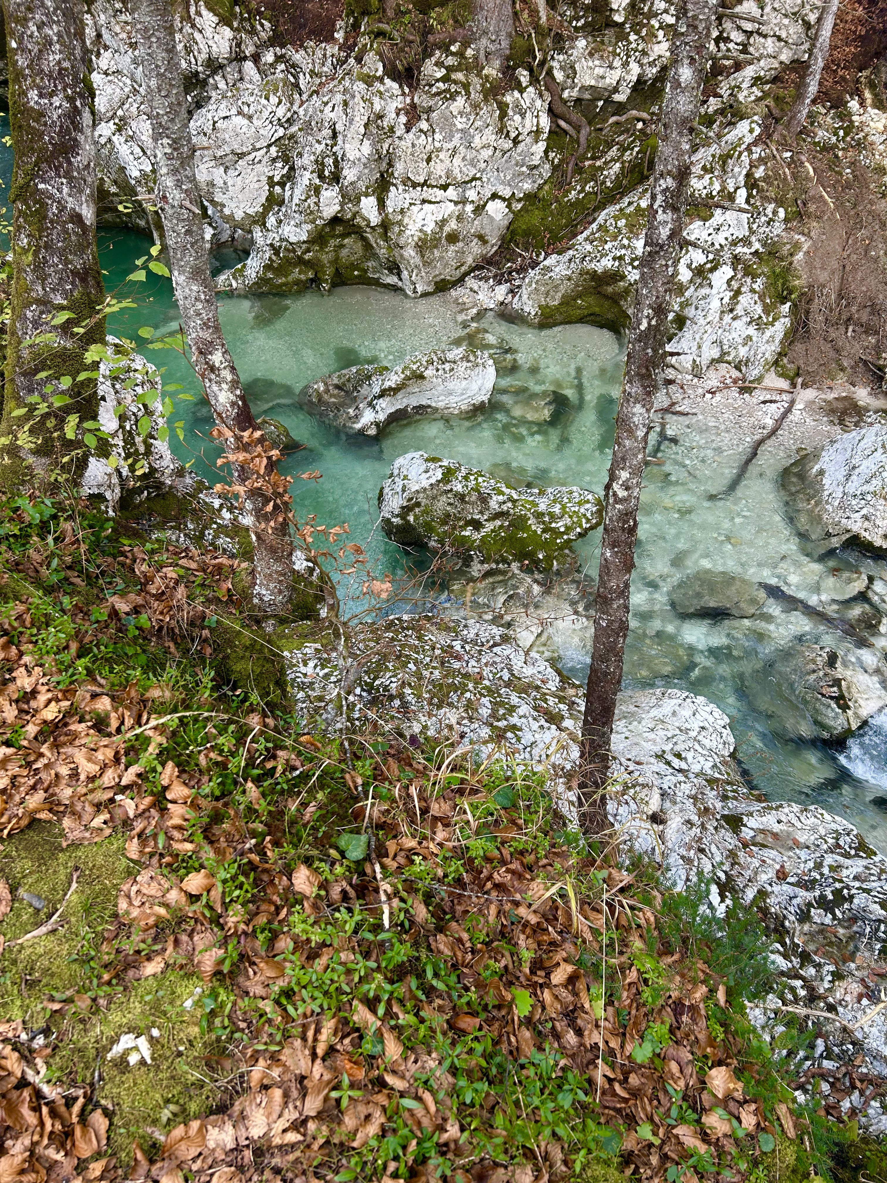Río Sava Bohinjka cerca de Cascada de Savica Bled Eslovenia