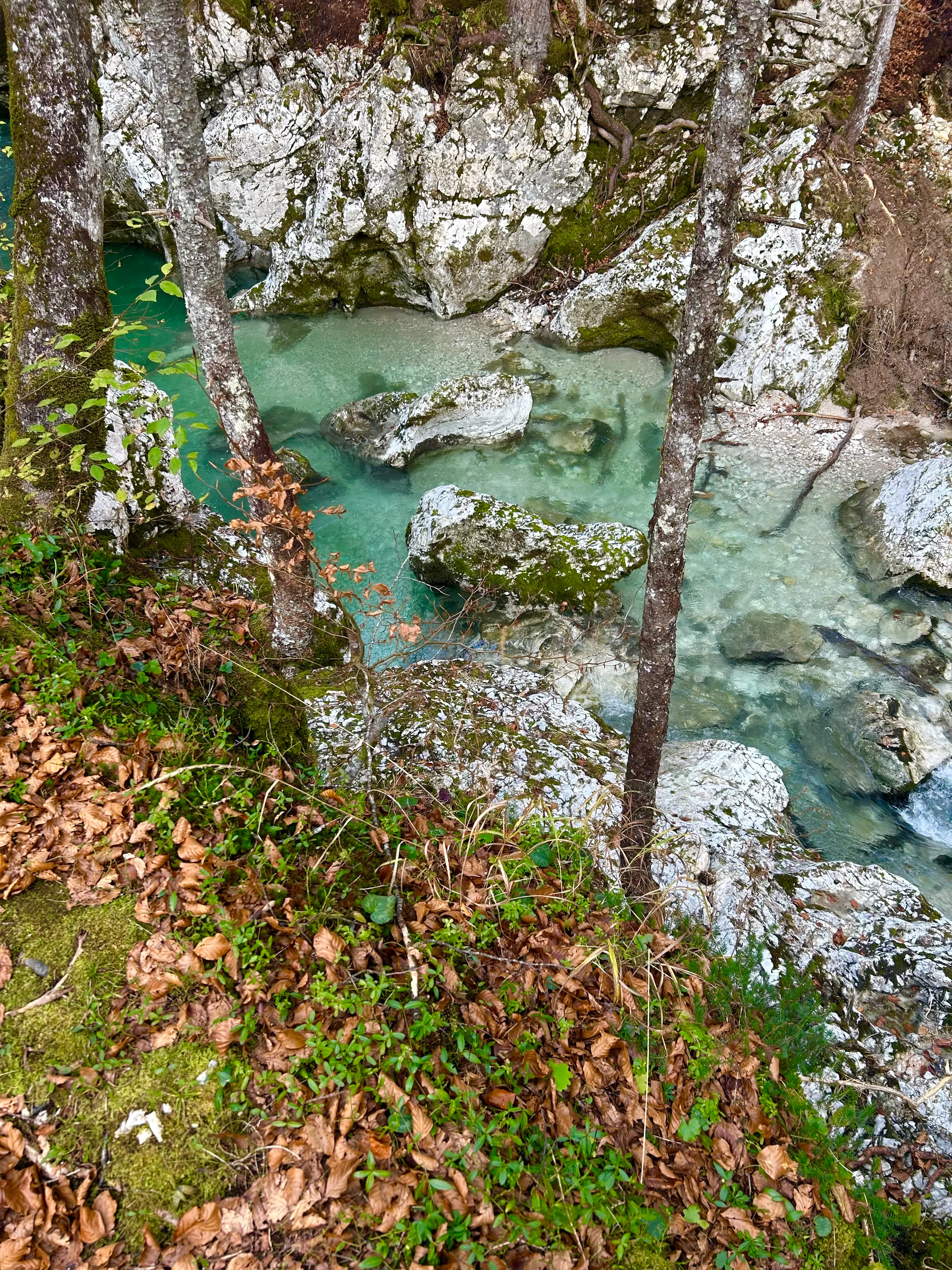 Río Sava Bohinjka cerca de Cascada de Savica Bled Eslovenia