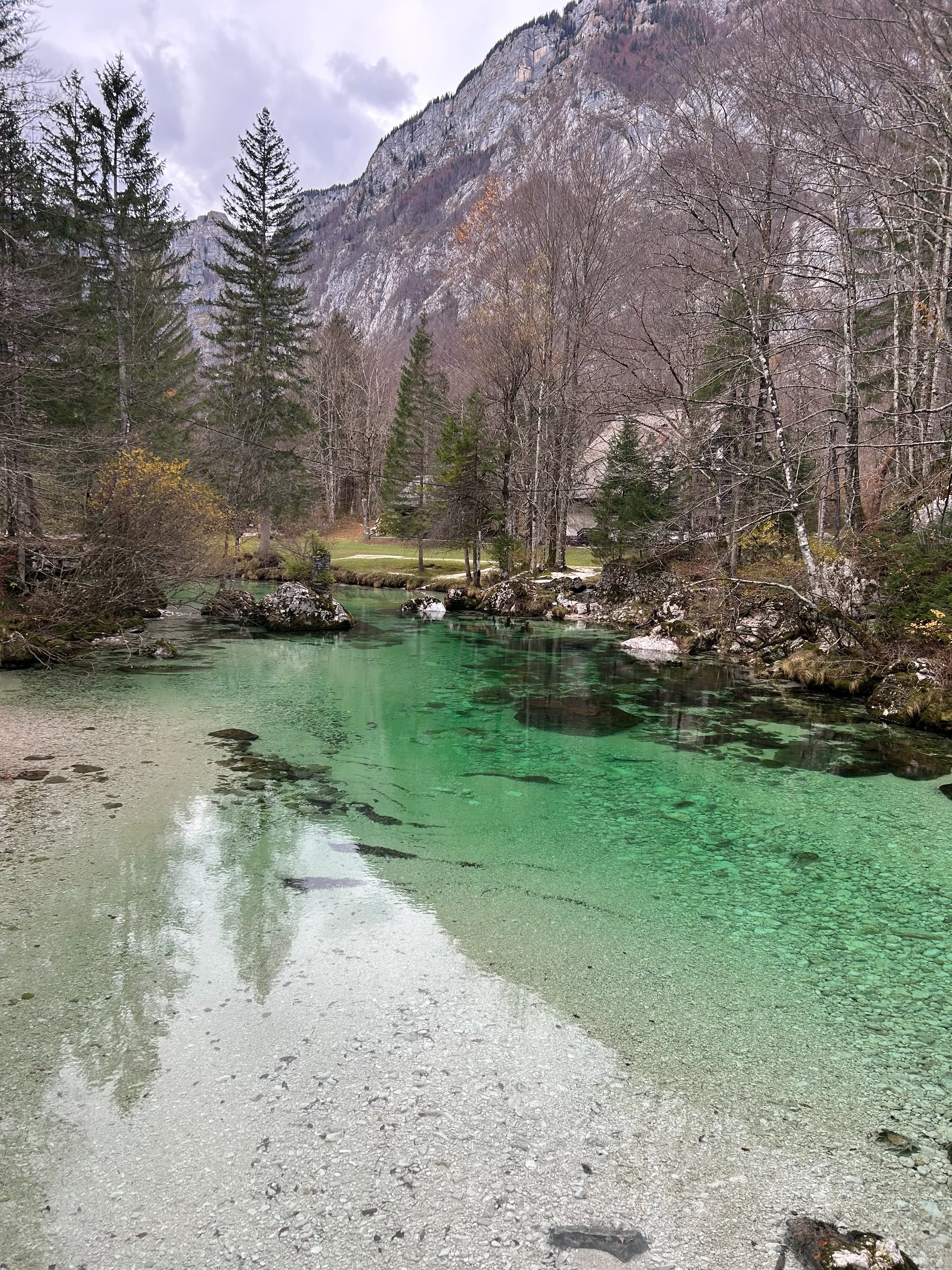 Río Sava Bohinjka desde diferente ángulo Eslovenia