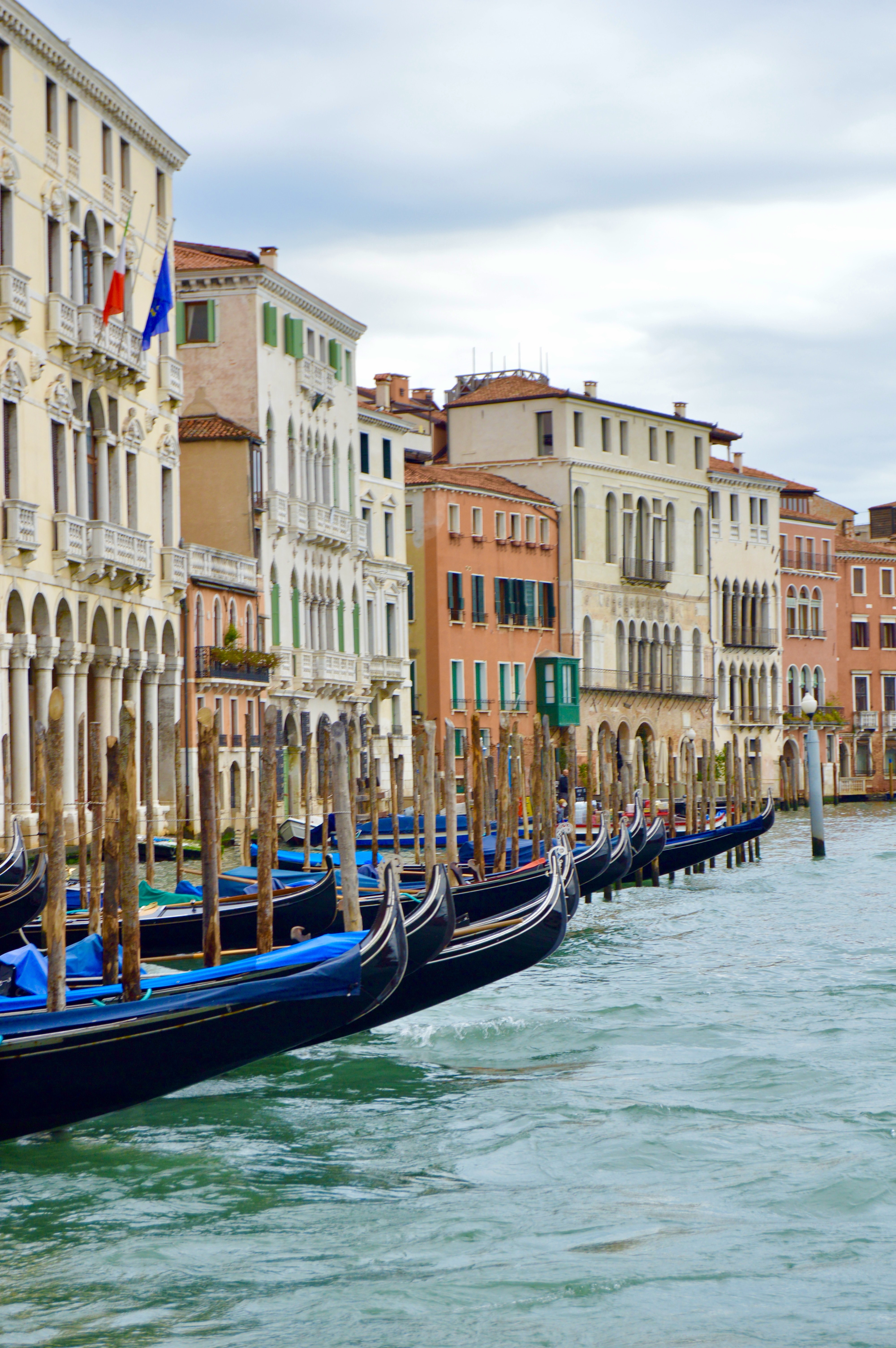 Venecia