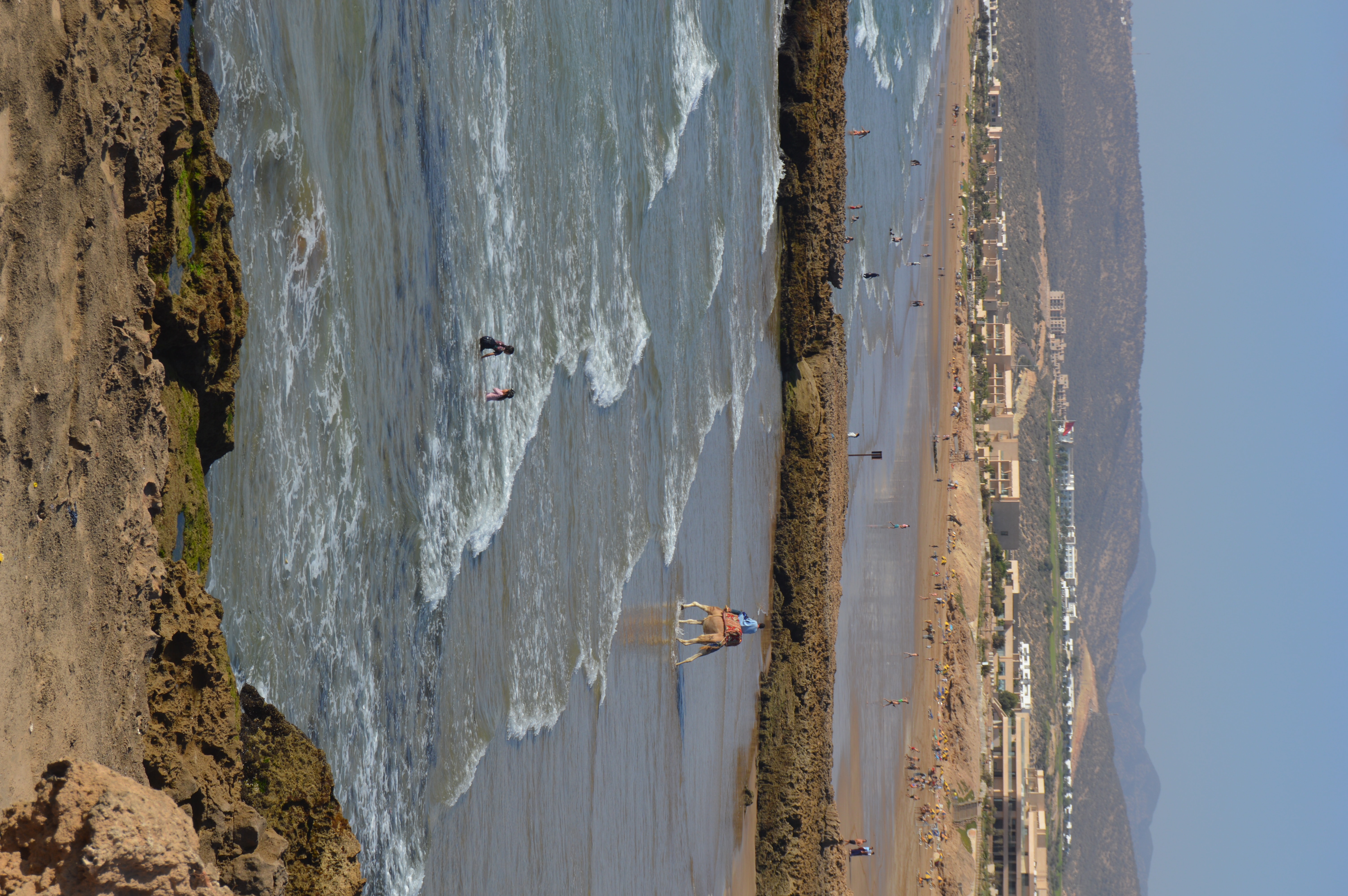 Vista aérea de la playa de Taghazout - Camello caminando por la orilla con surfistas