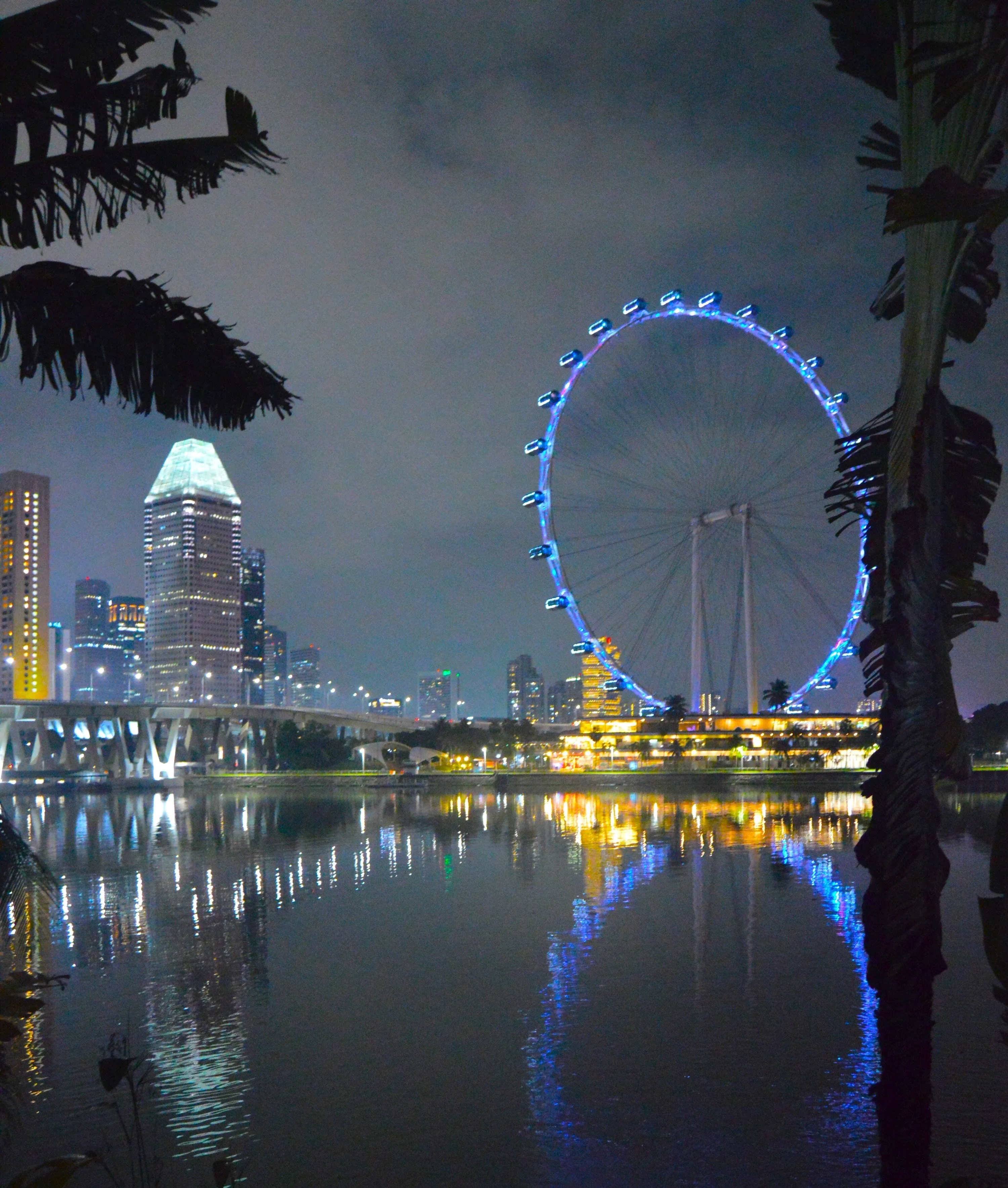 Singapore Flyer, la vuelta al mundo gigante, edificios con luces Singapur