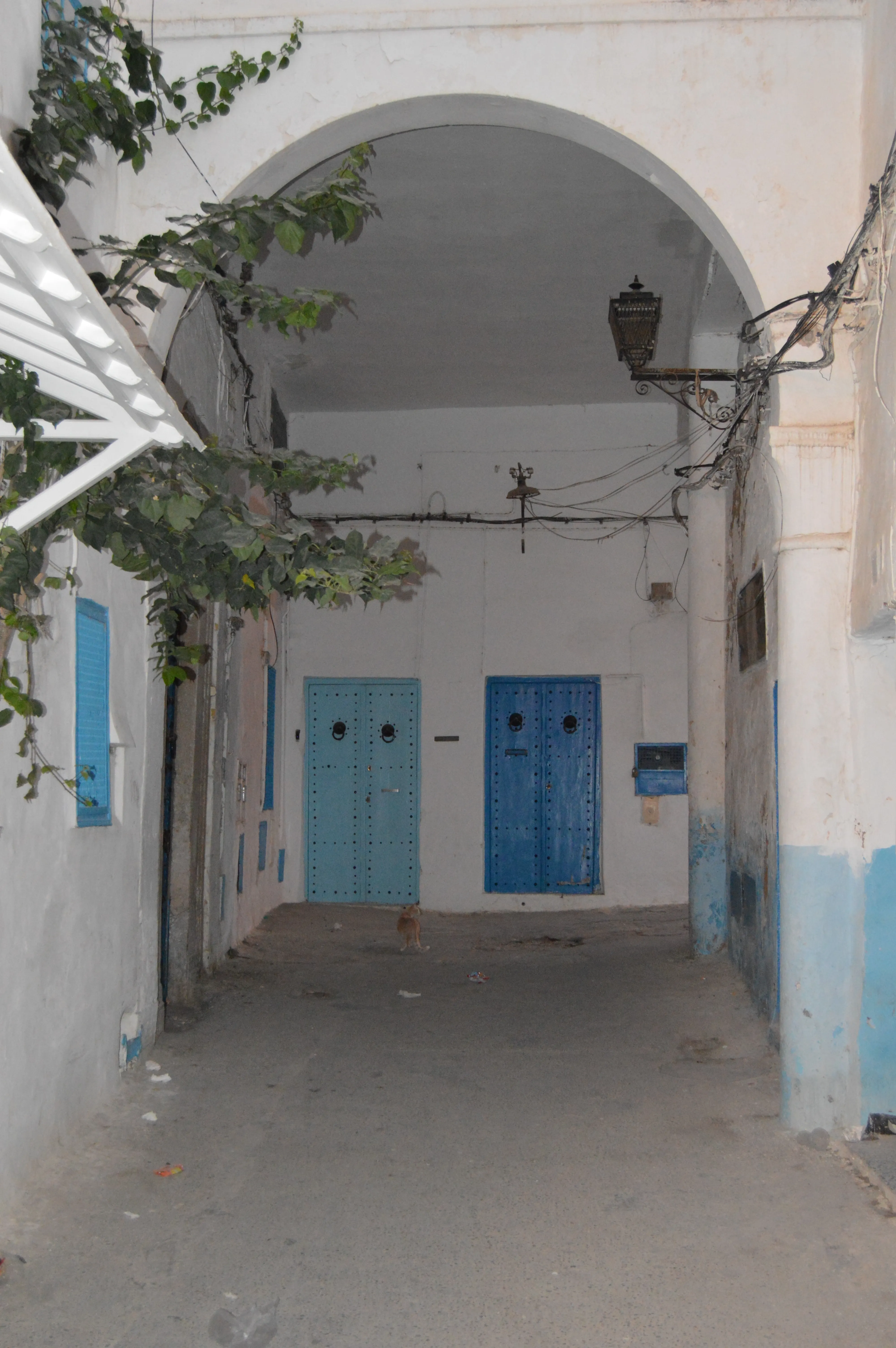 Calle vacía en la Medina de Túnez